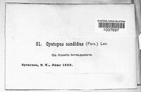 Image Associated With the Occurence